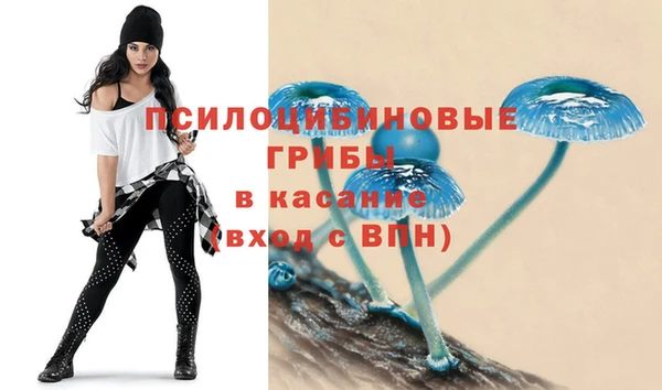 дурь Михайловск