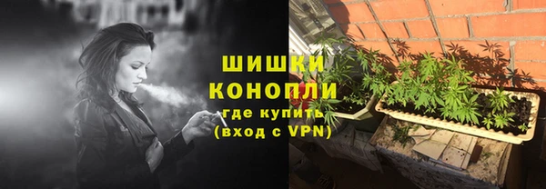 ПСИЛОЦИБИНОВЫЕ ГРИБЫ Михайлов