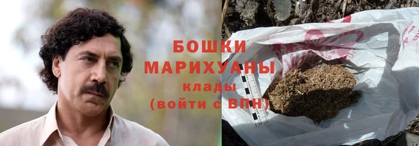 индика Медногорск