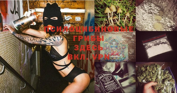 гидра Медвежьегорск