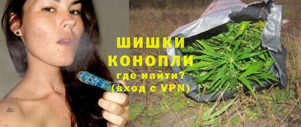 гидра Медвежьегорск