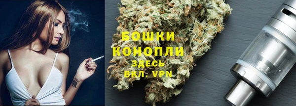 гидра Медвежьегорск