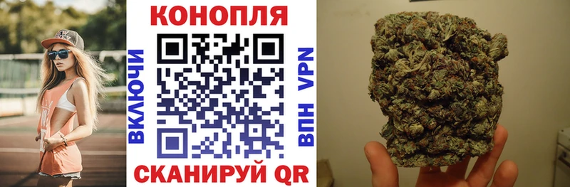 Купить закладки  Люберцы  Бошки Шишки OG Kush 